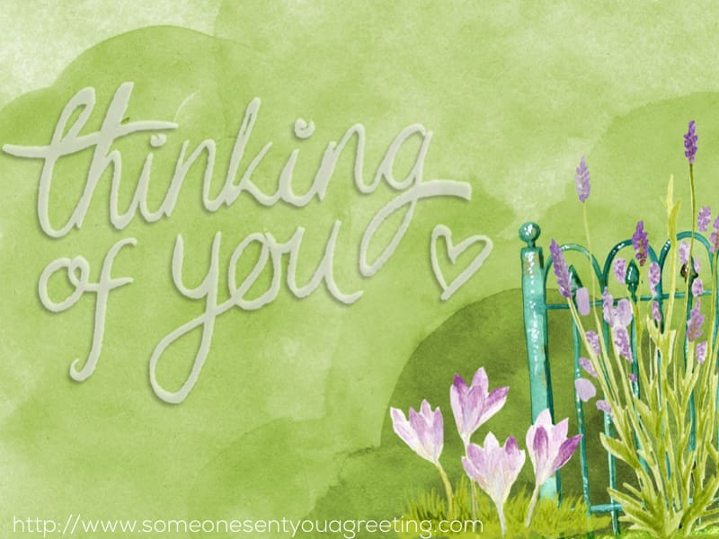 What to Write in a Sympathy Card - Someone Sent You A Greeting