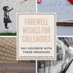 Farewell Wishes for Colleagues: Say Goodbye with these Messages