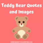 Teddy bear quotes and images