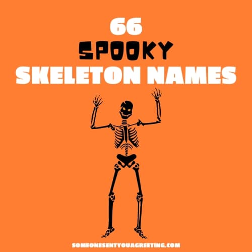 66 Spooky Skeleton Names to Tickle your Funny Bone - Someone Sent You A  Greeting