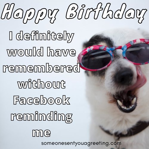 The Best Funny Birthday Wishes: 45 Hilarious Examples - Someone Sent You A  Greeting
