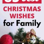 Christmas wishes for family