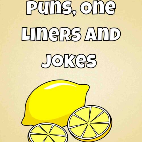 55+ Lemon Puns, One Liners and Jokes