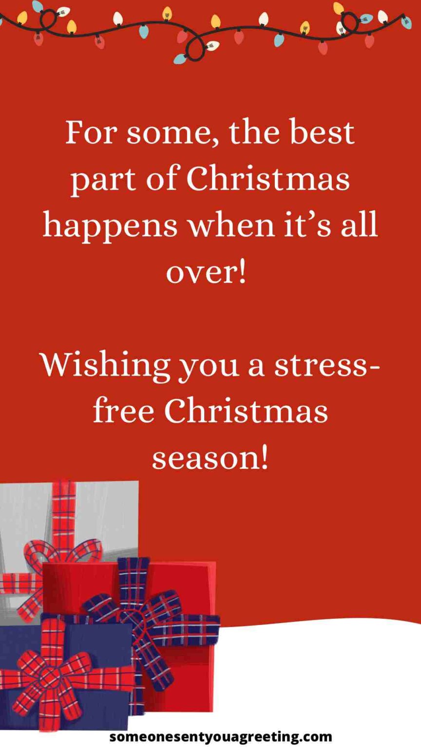 40+ Funny Christmas Wishes, Quotes and Jokes Someone Sent You A Greeting
