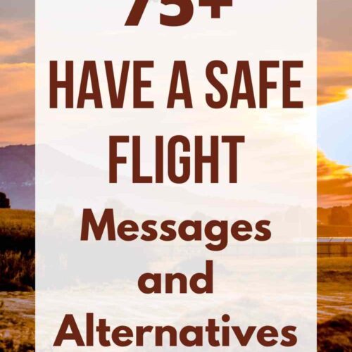 75+ Have a Safe Flight Messages and Alternatives