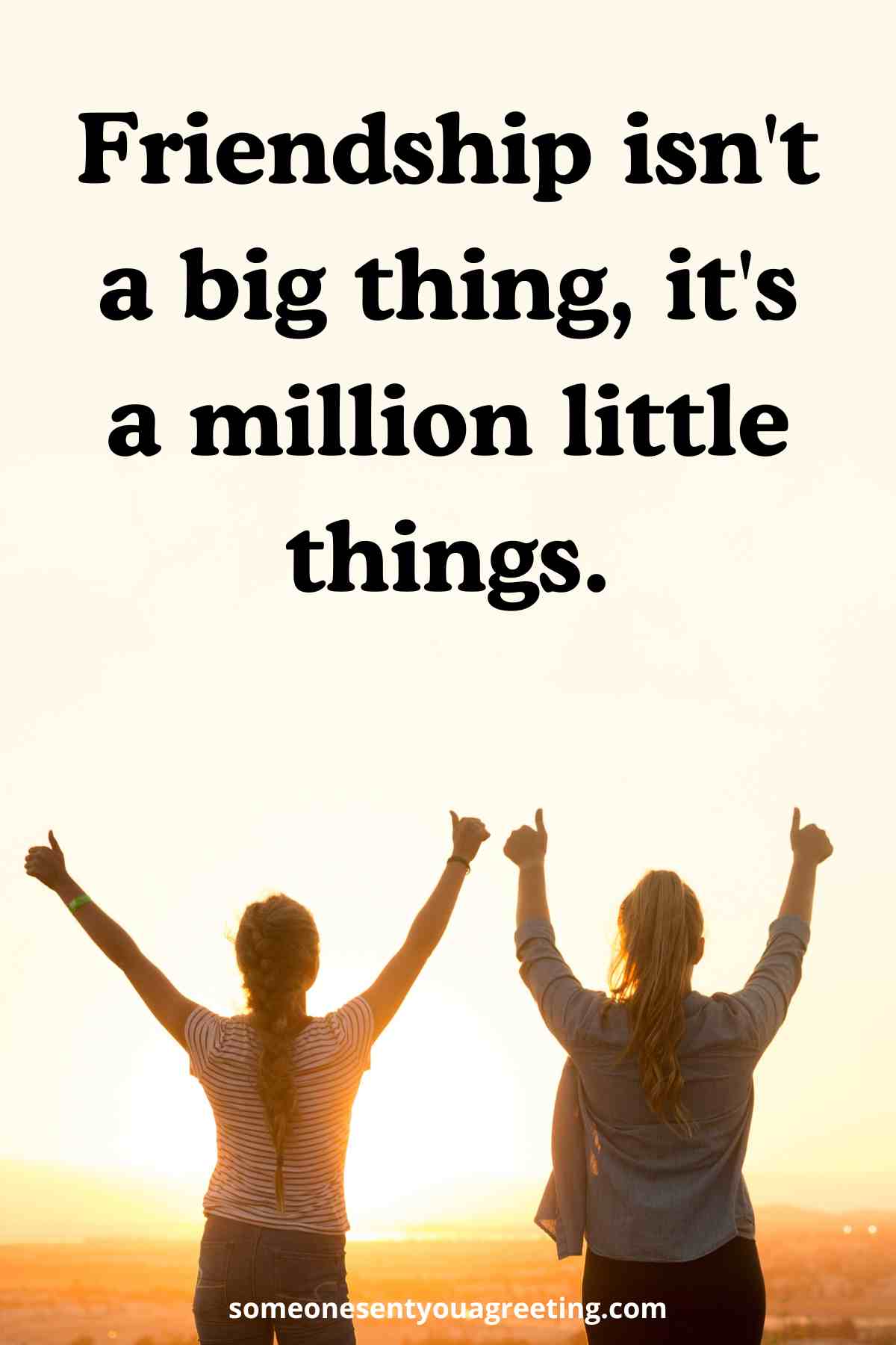 friendship is a million little things quote